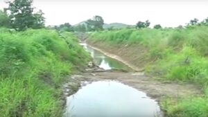 पाटचाऱ्या नादुरूस्तीमुळे शेतकऱ्यांचे भरणे टांगले;प्रजासत्ताक दिनी छावाचा आंदोलनाचा इशारा