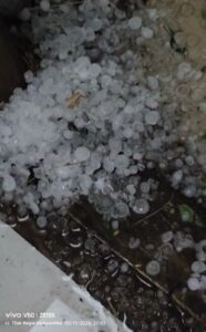 टिळकनगर व एकलहरे परिसराल गारपिटीचा तडाखा;शेतकऱ्यांचे मोठे नुकसान