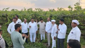 अवकाळी व गारपीटग्रस्त नुकसानीचे तातडीने पंचनामे करा- आ.ओगले