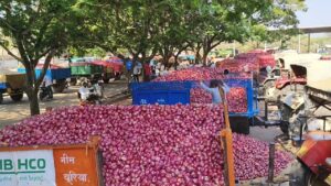 टाकळीभान उपबाजारात ९ मे पासून मोकळा कांदा मार्केटला प्रारंभ